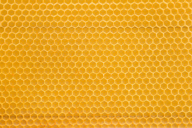 Detail picture of a bright yellow honeycomb. Without honey.