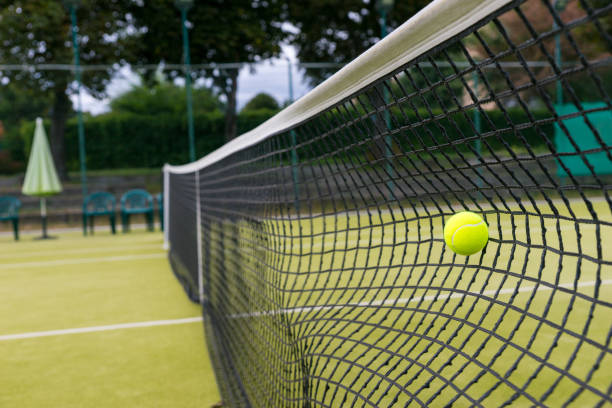 istock Tennis ball in net 639139554