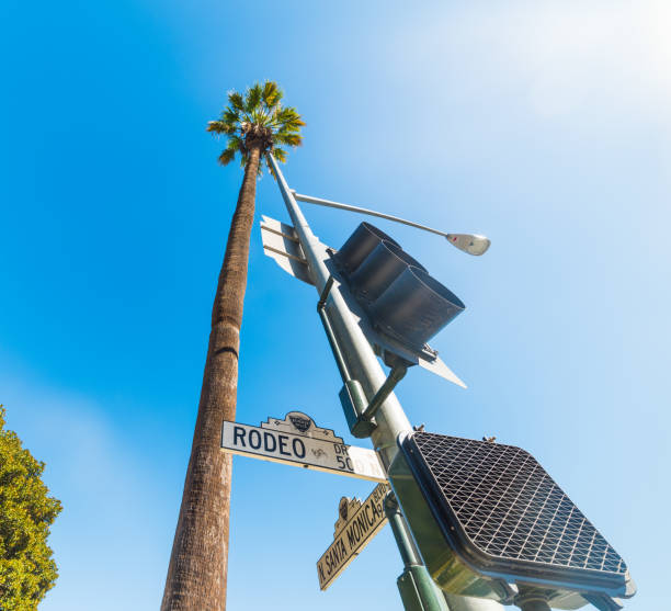 istock Rodeo Drive road sign in Beverly Hills 639139914
