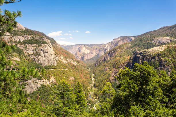 istock Yosemite National Park landscape 639145966