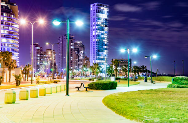 istock Night landscape resort town with tropical palm trees 639148376