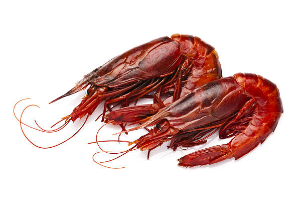 istock Two giant red shrimps on isolated on white background 639148482