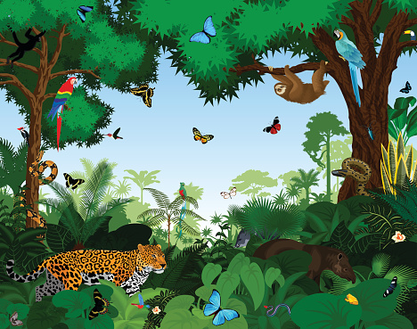 Rainforest with animals vector illustration. Vector Green Tropical Forest jungle with parrots, jaguar, tapir, sloth, anaconda and butterflies.
