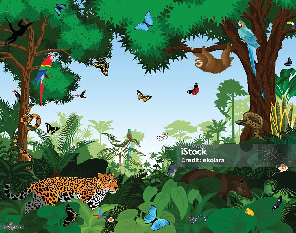 Rainforest With Animals Vector Illustration Stock Illustration - Download  Image Now - Rainforest, Animal, Tropical Rainforest - iStock