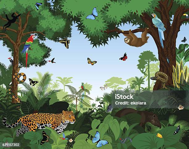 Rainforest With Animals Vector Illustration Stock Illustration - Download Image Now - Animal, Rainforest, Tropical Rainforest