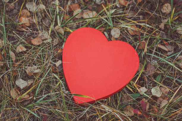 istock Heart in the Grass 639162564