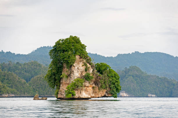 istock Raja Ampat, Indonesia 639165870