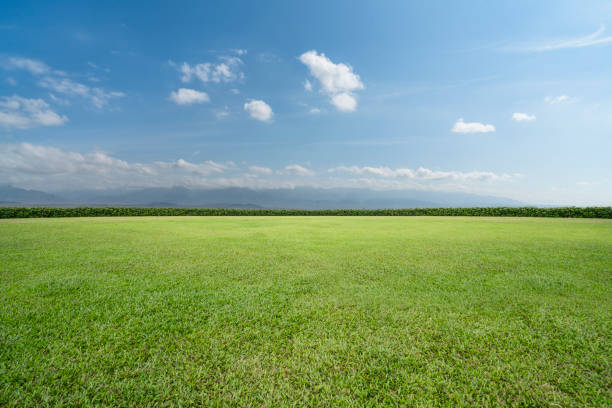 istock green field and blue sky 639167072