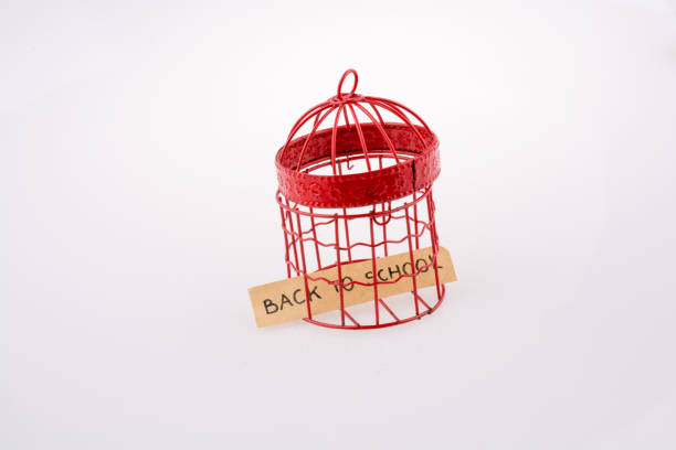 istock Note about school placed in a red bird house cage 639167184