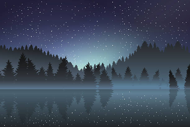 seeblick und pinienwald bei nacht - forrest lake lichtstimmung nebel stock-grafiken, -clipart, -cartoons und -symbole