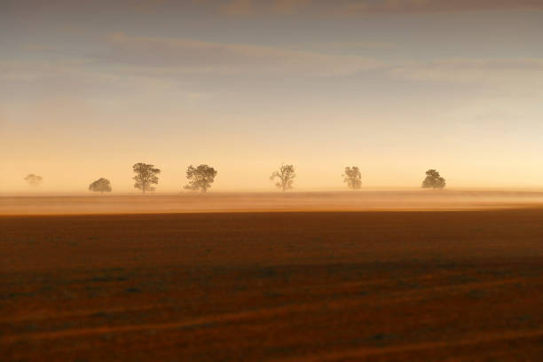 Dust Storm Dust storm in outback Australia on rural farm with crops in paddock in Mallee murray darling basin stock pictures, royalty-free photos & images