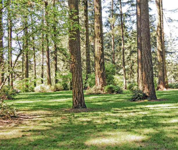 istock Park - Public Park 639173304