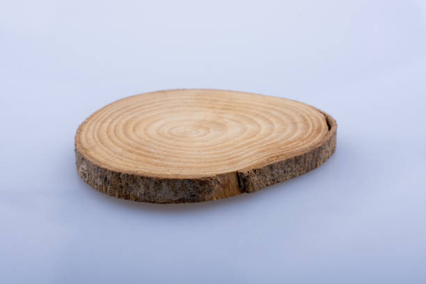 istock Wood Log cut in round thin pieces on white background 639173678