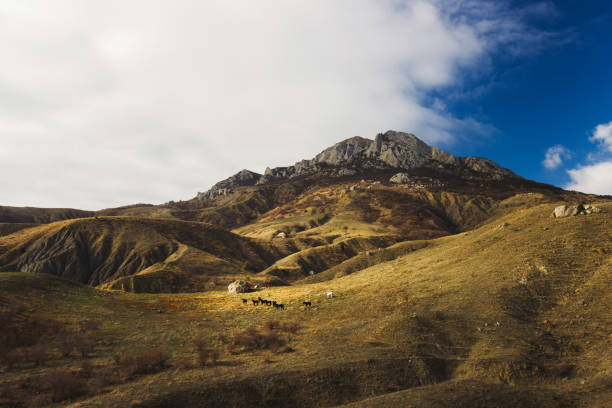 Mountain landscape - huge grey pyramid boulder with orange lichen on roadside of country road in sunlight in sunny summer day with blue sky, dry meadow and ridges away. Travel in Dagestan mountain.