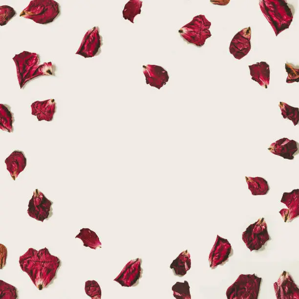 Photo of Heart shape rose petals with copy space, on white backgrounds