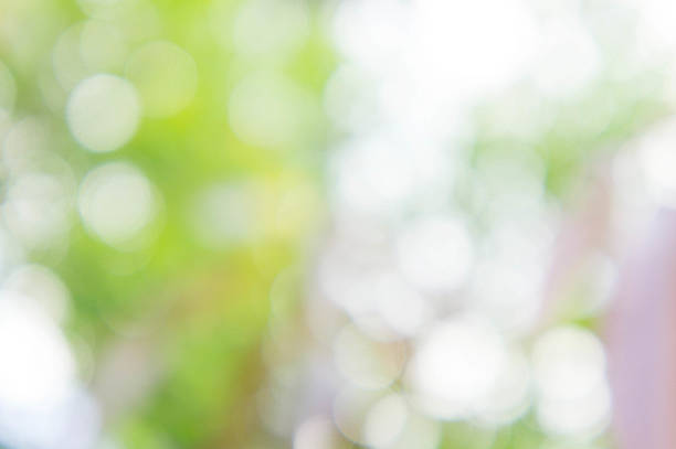 istock texture bokeh style , sunlight bokeh background , bokeh and blur 639174920