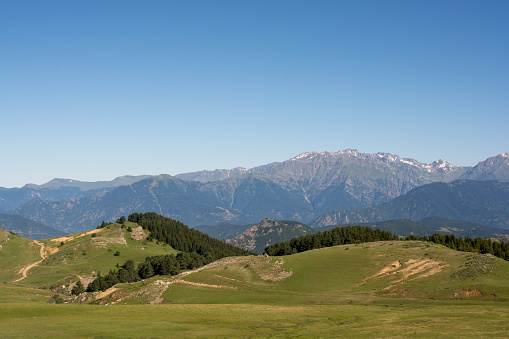 Forested mountains in a scenic landscape view from Artvin highlands