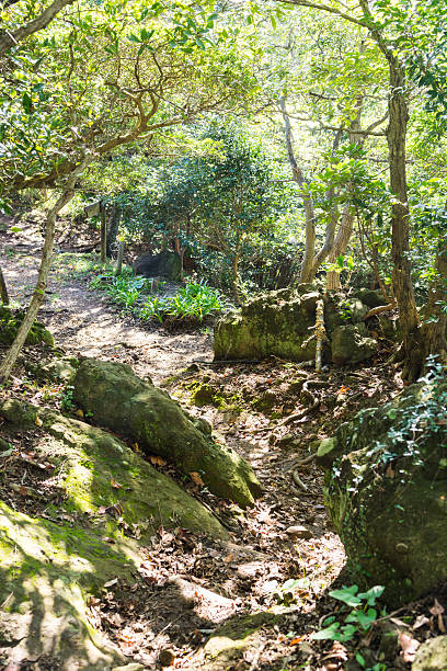 istock Mt. Kanuki hiking route 639181098