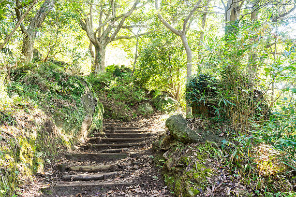 istock Mt. Kanuki hiking route 639181612