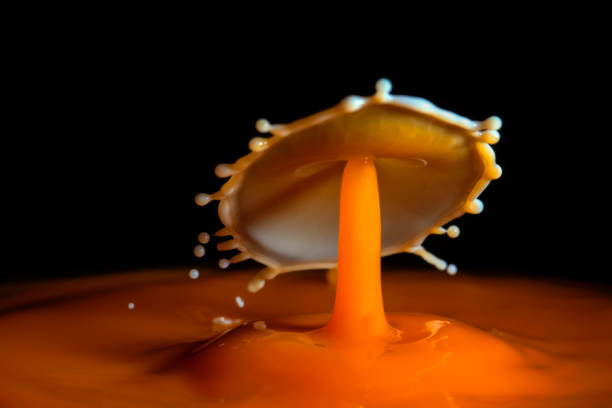 istock Splash of Milk 639181632