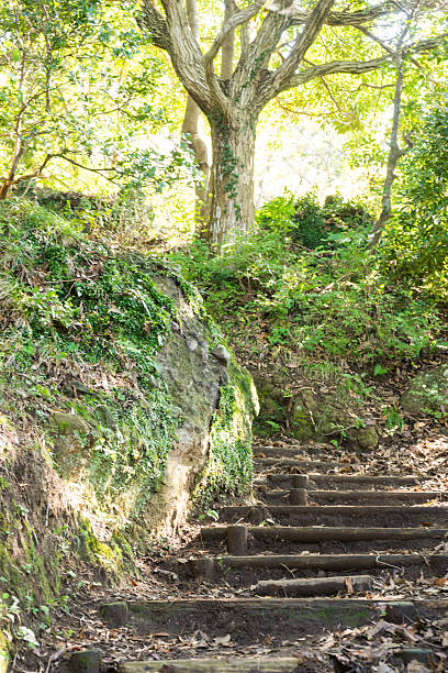 istock Mt. Kanuki hiking route 639182424