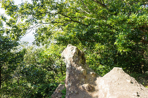istock Rock in Mt. Kanuki hiking route 639182734