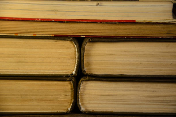 istock Background of the many books 639184320