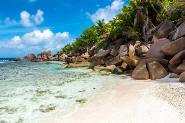 istock Anse Cocos - La Digue, Seychelles 639187280