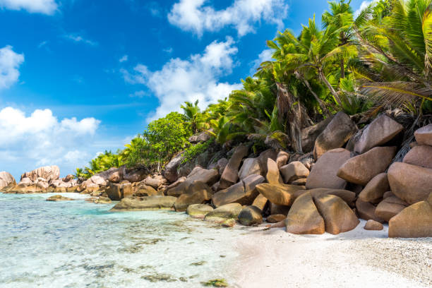 istock Anse Cocos - La Digue, Seychelles 639187544