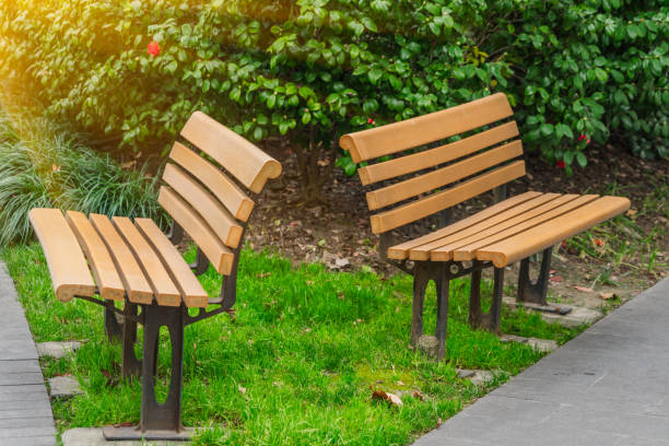 istock Bench in a park on sunny day 639189366