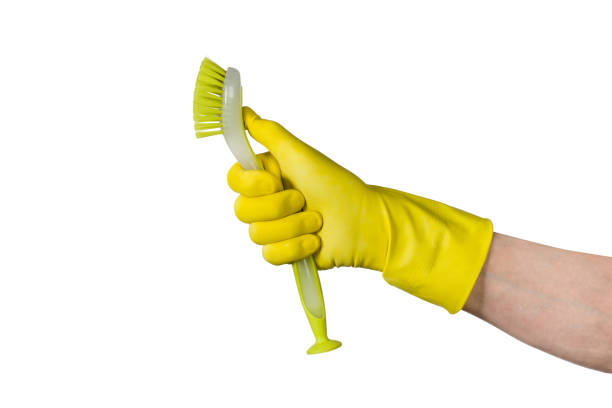 istock Hand with cleaning brush isolated on white background 639190126