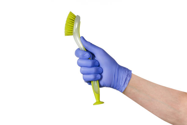 istock Hand with cleaning brush isolated on white background 639190298