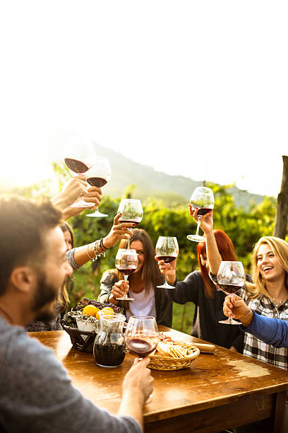 amigos brindis con vino tinto después de la recolección - outdoors drinking women friendship fotografías e imágenes de stock