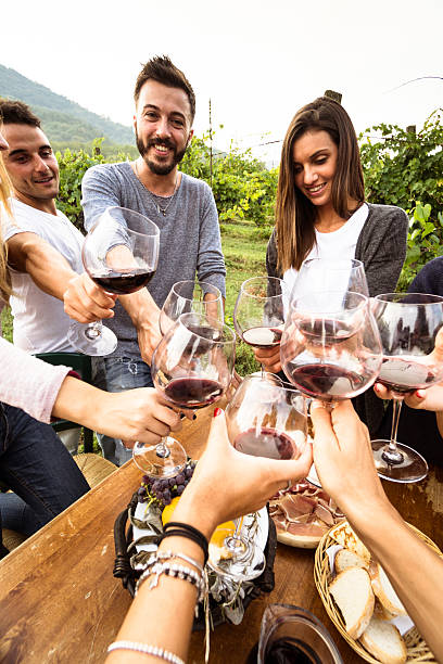 istock friends toasting with red wine on the lunch 639193578