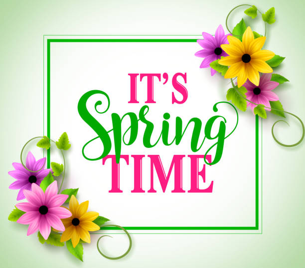 istock Spring time vector banner with boarder in colorful realistic flowers 639195540