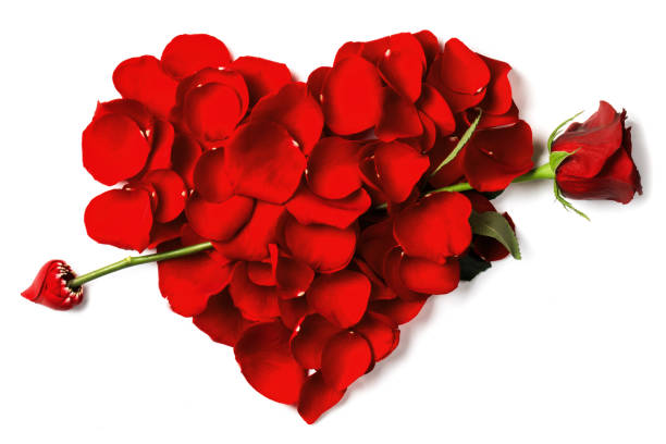 istock Red rose petals heart 639196036