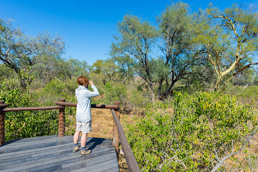 Tourist looking at panorama with binocular from viewpoint over the Olifants river, scenic and colorful landscape with wildlife in the Kruger National Park, famous travel destination in South Africa.