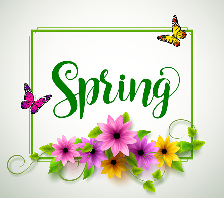 Spring vector typography with colorful flowers, leaves, vines and butterflies in a boarder with white background. Vector illustration.