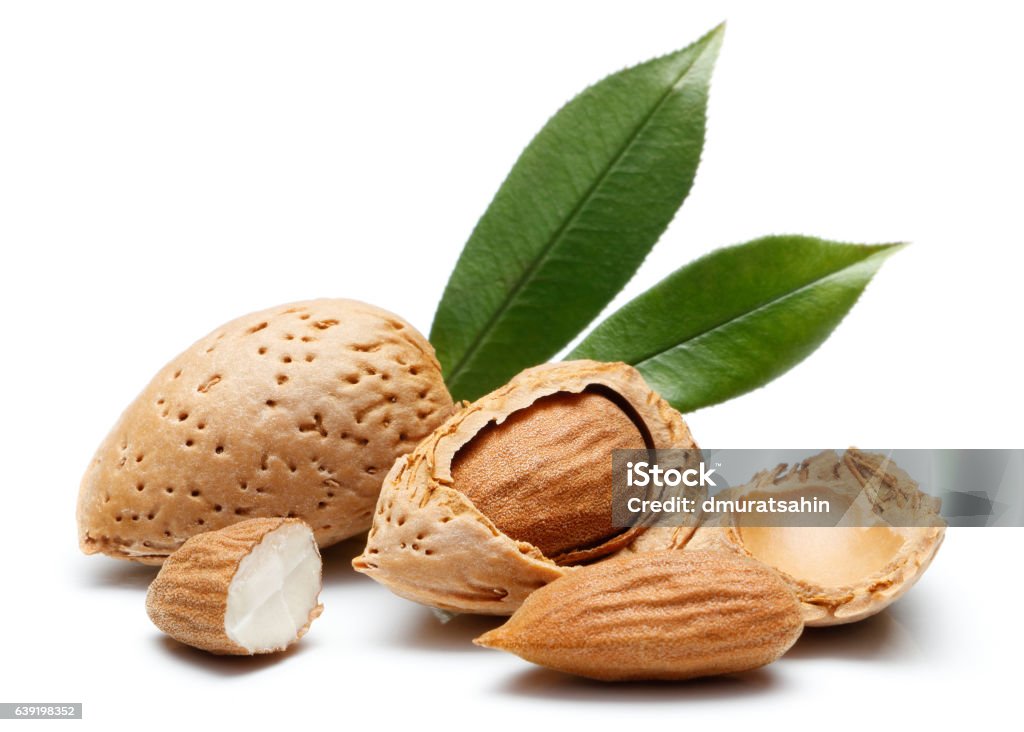 Almond nut isolated Almonds nut isolated on a white background Almond Stock Photo