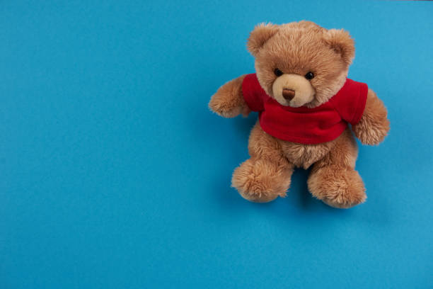 istock Teddy bear soft toy on blue background 639201854