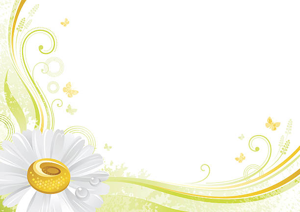 illustrazioni stock, clip art, cartoni animati e icone di tendenza di sfondo primaverile. pasqua, festa della mamma, compleanno, matrimonio. illustrazione vettoriale del fiore. - single flower flower mothers day easter