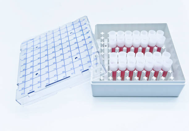istock Freezing mammalian cells by cryopreservation medium in cryotubes 639204966
