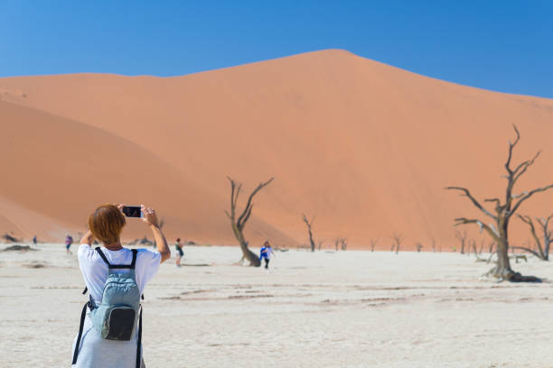 istock Photographing the desert, Namibia, Africa 639205902