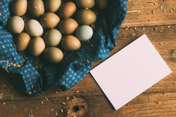 istock Organic Eggs With White Blank Paper 639207804