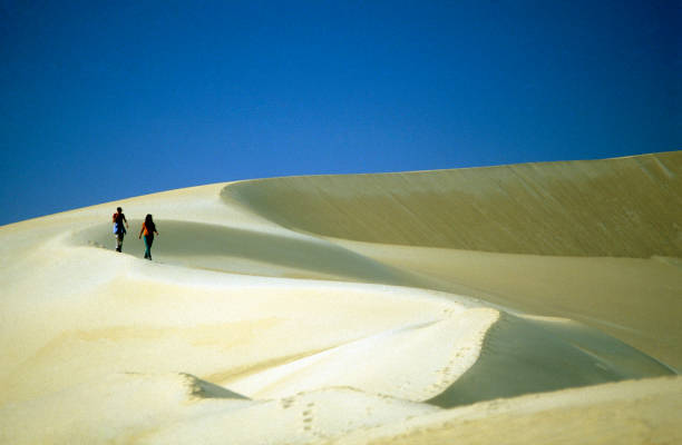 istock AFRICA EGYPT SAHARA SIWA DESERT 639208056
