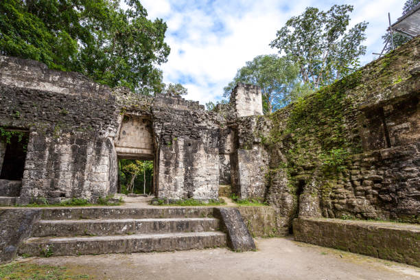 istock Tikal, Guatemala 639208506
