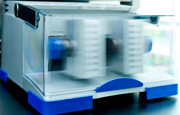 istock Animal tissue is homogenized by tissue bead homogenizer 639210796