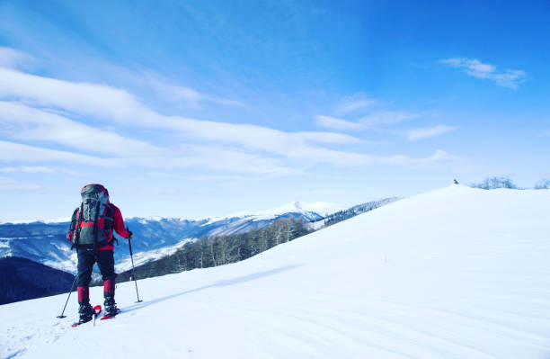 istock Winter hiking. 639213288