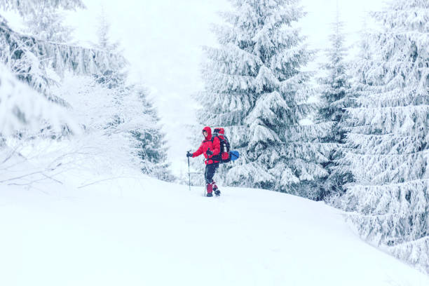 istock Winter hiking. 639216502