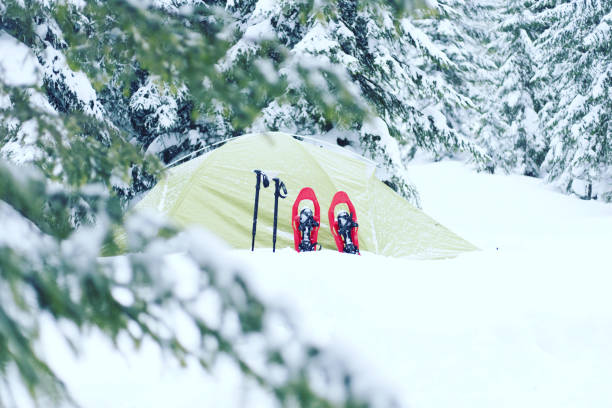 istock Winter hiking. 639216624